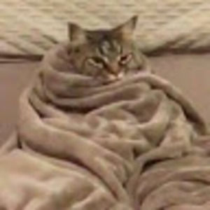 Meet your Posher, Epona